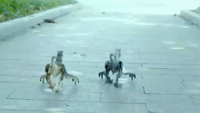 Upgraded Chargeable Remote Control Dinosaur . Kids Toys . Dinosaur Simulation Velociraptor Toy with LED Light and Roaring