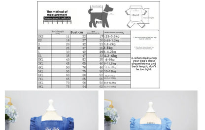 Embroidered Denim Pet Dress