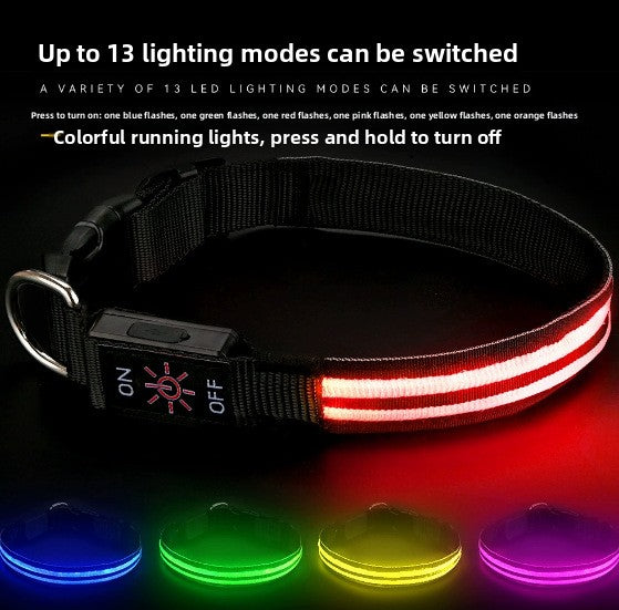 PawLuxe Illuminated Dog Collar – Rechargeable Waterproof Design
