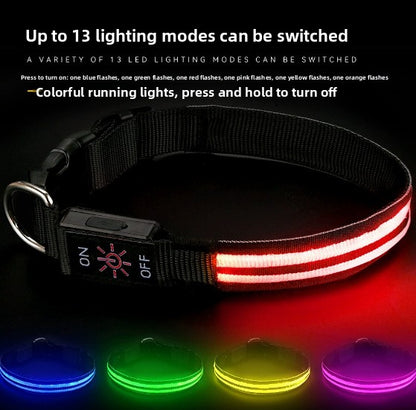 PawLuxe Illuminated Dog Collar – Rechargeable Waterproof Design