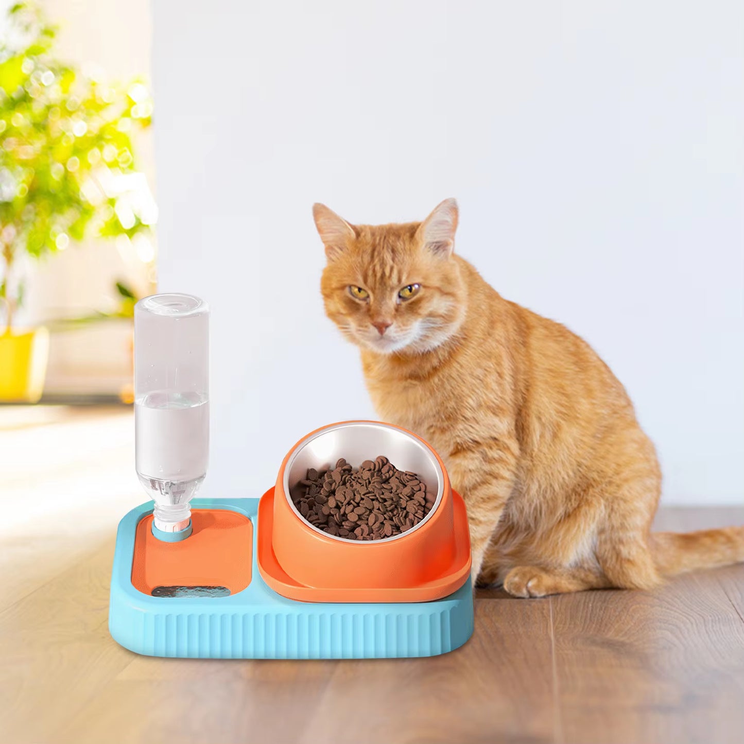 3 in 1 Dog Cat Water Bowl with Automatic Drinking Bottle Pet Food Container Drinking Dish Slow Feeder 15° Tilted Design