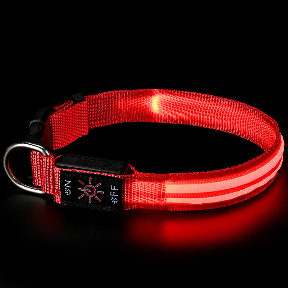 PawLuxe Illuminated Dog Collar – Rechargeable Waterproof Design