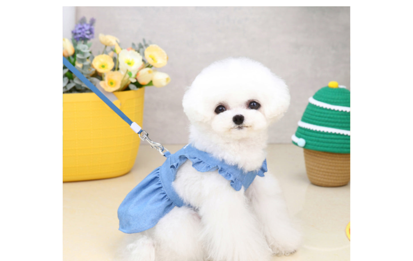 Embroidered Denim Pet Dress