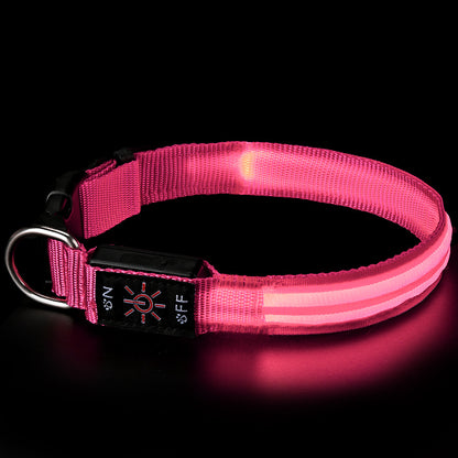 PawLuxe Illuminated Dog Collar – Rechargeable Waterproof Design