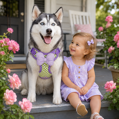 Reflective Adjustable Dog Harness with Leash