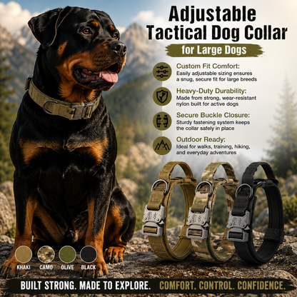 Adjustable Nylon Dog Collar