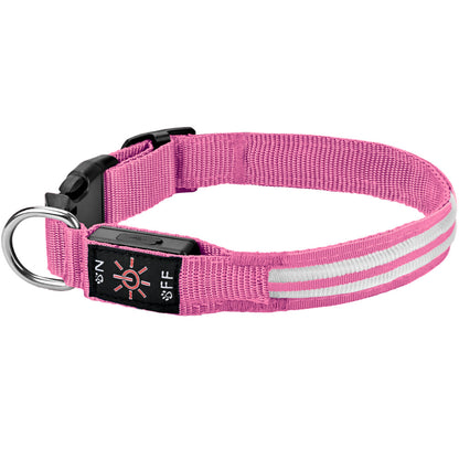 PawLuxe Illuminated Dog Collar – Rechargeable Waterproof Design