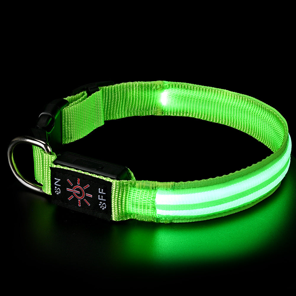 PawLuxe Illuminated Dog Collar – Rechargeable Waterproof Design