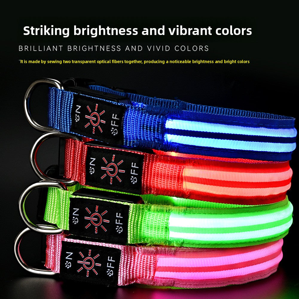 PawLuxe Illuminated Dog Collar – Rechargeable Waterproof Design