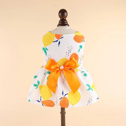 Pet  Print Dress With Bow