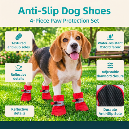 Dog shoes infographic with aqua text and no store name
