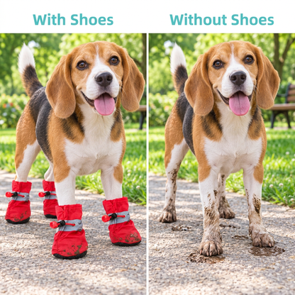 Dog wearing red shoes compared with the same dog with muddy bare paws