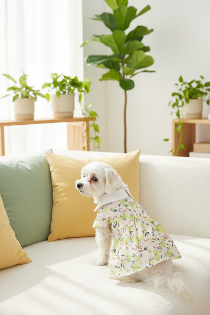 Floral Dress Indoor Living Room