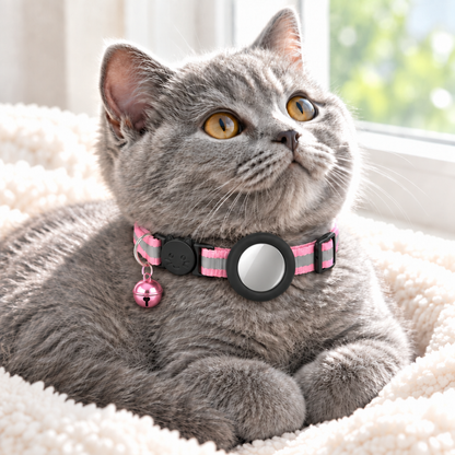 Grey kitten, pink collar with metallic pink bell