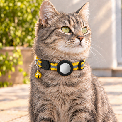 Grey tabby, yellow collar with metallic yellow bell