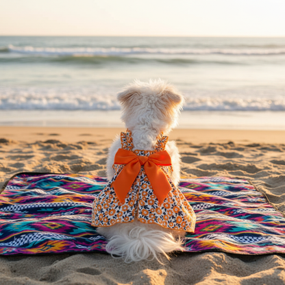 Orange Dress - Back View Beach