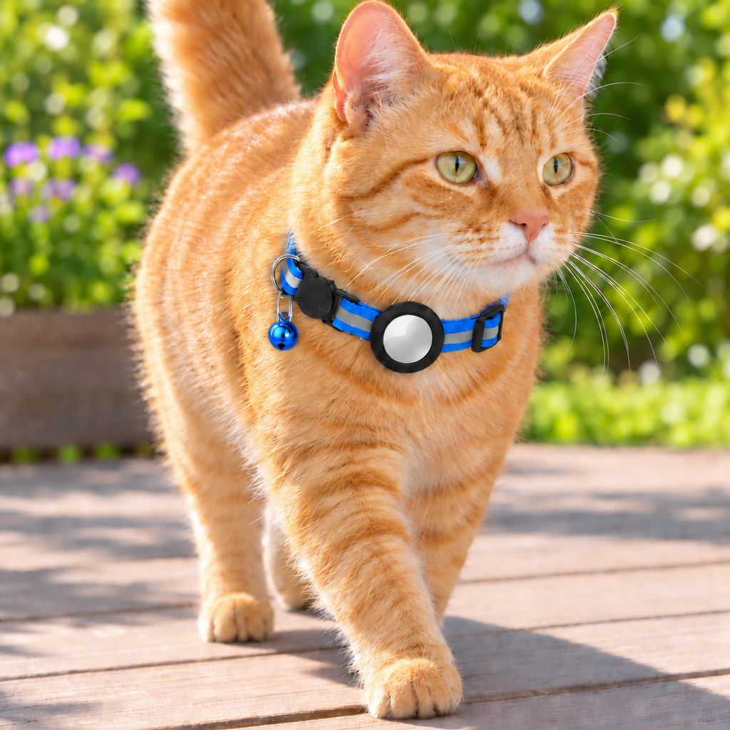 Orange tabby, blue collar with metallic blue bell