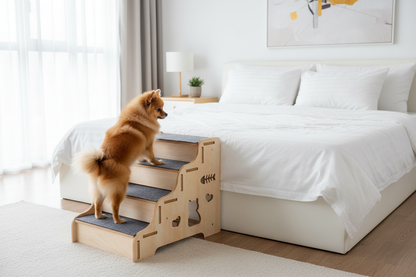 Pet Stairs Bed Scene