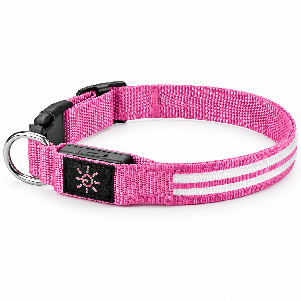 Pink collar on white background